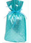 Gift Bag Packaging