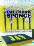 image of calendar sponge