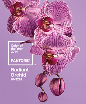 Gift Trends: Pantone Color of the Year