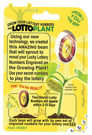 Grow Your Own With Magic Plant