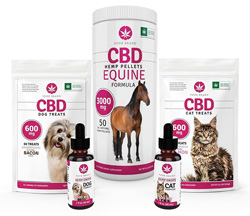 Private Label Pet Products from Global Cannabinoids