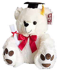 Graduation Teddy Bear