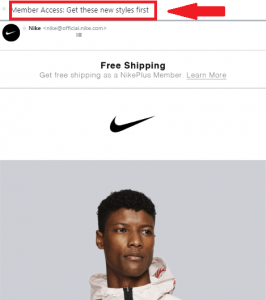 Nike Member Access