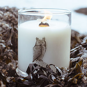 The White Lodge Essential Oil Candle