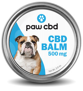 Paw CBD Balm