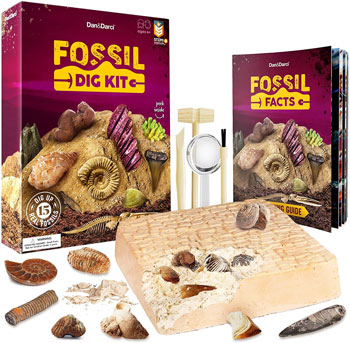 Discovery Mega Fossil Dig Kit