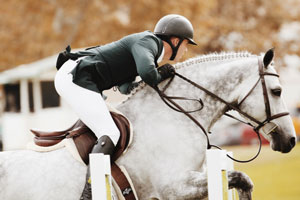 Western English Equestrian Show