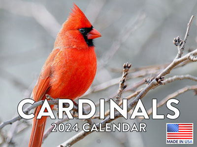 Cardinal 2024 Calendar